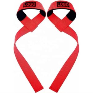 بروتين واي شركة basix